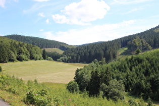 Lennetal weiter oben, Blick talaufwärts