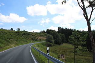 unterhalb von Altastenberg, Blick bergauf …