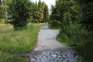 Ruhrversickerung in Folge der Trockenheit