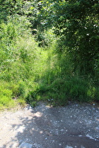 die Ruhr, Blick flussaufwärts …