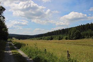 oberes Ruhrtal zwischen Ruhrqielle und Niedersfeld, Blick talabwärts