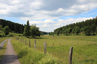 wenige Kilometer weiter unten, Blick talabwärts