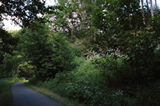 Ruhrtalradweg südlich von Olsberg