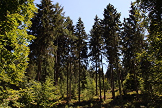 Auffahrt zum Kammweg, weit unten, Blick nach Süden