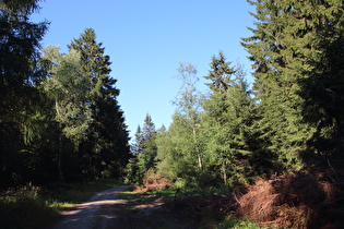 Deisterkamm bei den Hirschköpfen