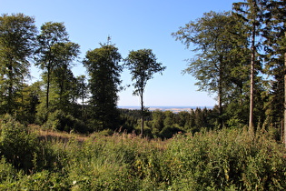 Blick vom Nordosthang des Deisters nach Nordosten