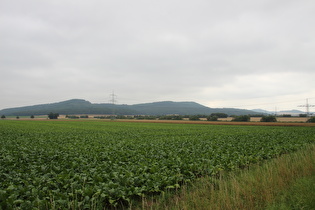 zwischen Hameln und Hastenbeck, Blick zum Schecken