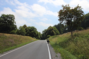 namenloser Pass zwischen Heyen und Bodenwerder, Passhöhe, Blick nach Süden