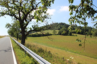 Blick zum Hangberg