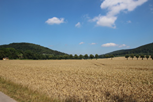 zwischen Lütgenade und Bevern, Blick ins Forstbachtal …