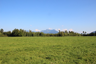 Blick zum Hochgern