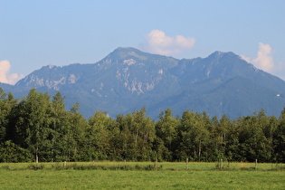 Zoom auf den Hochgern