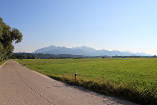 bei Übersee, Blick auf die Chiemgauer Alpen und …