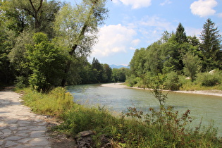 die Tiroler Achen zwischen Marquartstein und Unterwössen, Blick flussaufwärts