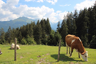 Pass Thurn, Südrampe, Blick nach Süden