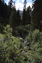 der Staller Almbach, Blick flussaufwärts …