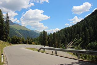 Kehrengruppe im Staller Almbachtal