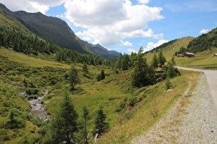 der Staller Almbach oberhalb der Waldgrenze, Blick flussaufwärts