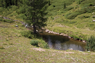 der Staller Almbach noch weiter oben, Blick flussaufwärts …