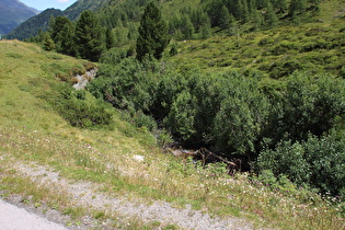 … und Blick flussabwärts