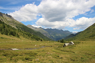 Blick über die Staller Alm ind Defereggental