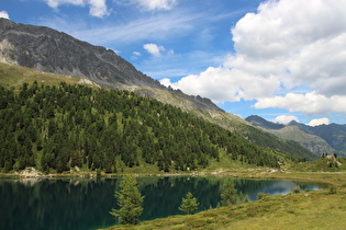 Blick über den Obersee zum Abfluss des Staller Almbachs