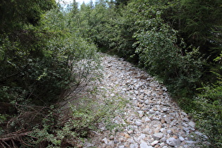 … und Blick flussabwärts – trocken!