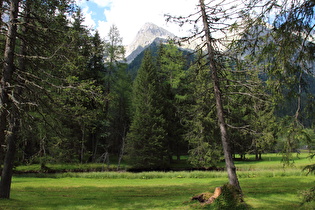 der Antholzer Bach nach wenigen Metern
