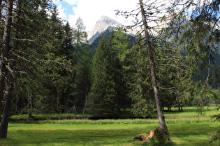 der Antholzer Bach nach wenigen Metern