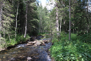 der Antholzer Bach weiter unten, Blick flussaufwärts …