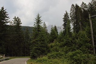 aufziehender Regen über dem Rosengarten