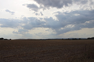 zwischen Hohem Holz und Steinhude, Blick auf die Rehburger Berge …