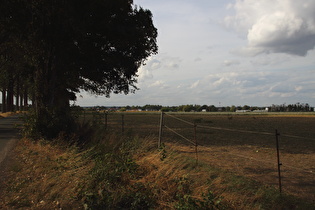 … und Blick auf Steinhude