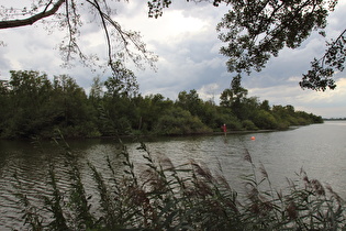 Steinhuder Meer, Südufer, Blick nach Westen, …