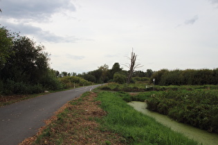 Uferradweg, etwas vom Südufer entfernt