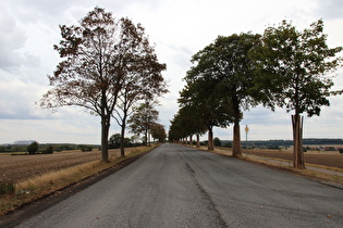 … Blick über die stinkeverkehrfreie Baustelle zur Kapellenhöhe …
