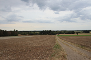 … und Blick zum Steinhuder Meer