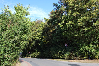 Gehrdener Berg, Große Bergstraße, höchster Punkt, Blick nach Osten, …