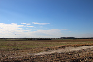 Gehrdener Berg, Westflanke, Blick auf Stemmer Berg und Flugverkehr