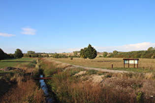 Blick über die Südaue zum Stemmer Berg