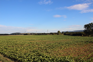 … und Blick auf Süllberg und Deister