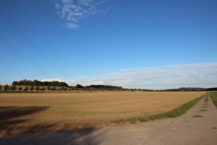 etwas weiter nördlich, Blick zum Benther Berg
