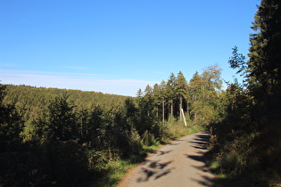 Anstieg von Barsinghausen, Blick nach Nordosten