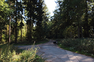 Anstieg von Barsinghausen, oberes Ende, Blick nach Südosten