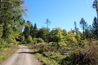 Kammweg, Blick nach Südosten