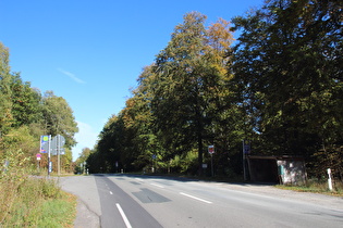 Nienstedter Pass, Passhöhe, Blick nach Nordosten