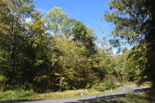 Nienstedter Pass, Westrampe, Blick bergauf