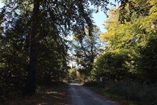 Blick nach Nordwesten zum Annaturm auf der Bröhn