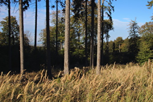 Blick vom Nordosthang des Deisters nach Osten