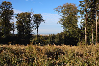 Blick vom Nordosthang des Deisters nach Nordosten